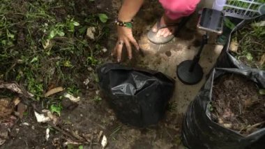 Bahçıvanın elleri arka bahçede gübre yapmak için ağaç dalları, yapraklar ve humusla bitki artıkları ayırıp ayırıyor. Toprak verimliliğini artırmak için organik atıkları gübreye dönüştür