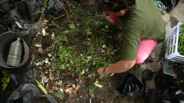 Mãos Jardineiro Triagem Corte Pilhas Ramos Folhas Resíduos Plantas Com — Vídeo de Stock