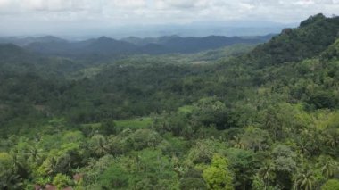 Çok büyük ve hala güzel yeşil bir tepenin yukarıdaki görüntüsü kırsal bir alanda, çok bina yok ve yoğun ağaçlı tropikal yağmur ormanları tarafından yönetiliyor.