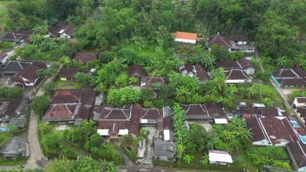 Εναέρια Πλάνα Από Αγροτικές Περιοχές Στην Ινδονησία Πλάνα Αργής Κίνησης — Αρχείο Βίντεο