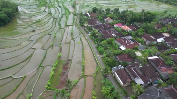 Luftoptagelser Fra Landdistrikter Indonesien Slow Motion Optagelser Drone Bevægelser Forstæder – Stock-video