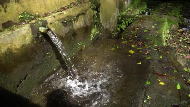 農村部の漁業 家庭のニーズを灌漑するために ホース パイプ 灌漑用運河を通って明確かつ自然な温泉水の流れ スローモーションでの映像 — ストック動画
