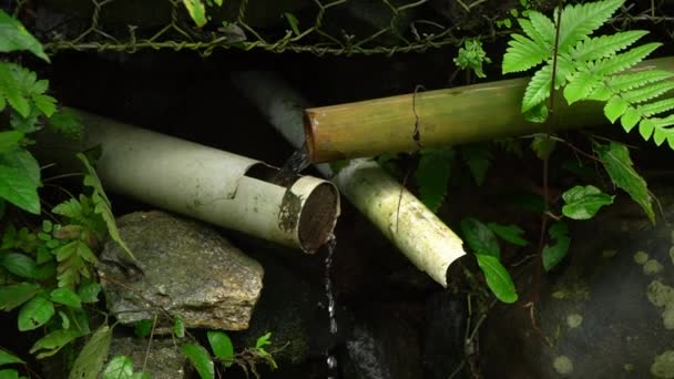 農村部の漁業 家庭のニーズを灌漑するために ホース パイプ 灌漑用運河を通って明確かつ自然な温泉水の流れ スローモーションでの映像 — ストック動画
