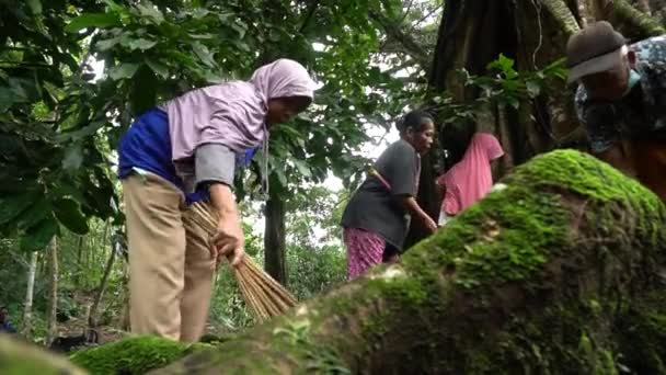 Сельские Жители Работают Вместе Очистить Свои Дворы Источники Воды Растут — стоковое видео