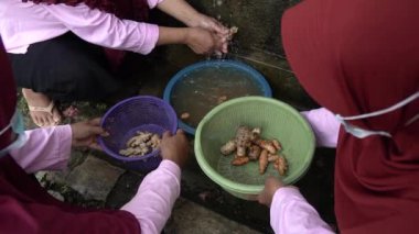 Parçalara ayrılmadan önce baharatları temiz suyla yıkama işlemi. Sağlıklı toz içeceklere bir dizi baharat üretim süreci