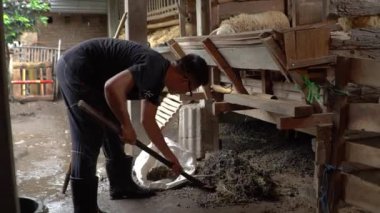 Keçi yetiştiricilerinin ahşap ve bambudan yapılmış keçi ağıllarındaki faaliyetleri, yiyecek karıştırmak, kontrol etmek ve ağıldaki kiri temizlemek gibi günlük aktiviteler