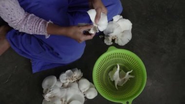 Evde istiridye mantarı yetiştirme süreci, ekipmanların ilk kurulumundan başlayarak gıda olarak işlenecek mantarları hasat etme sürecine kadar