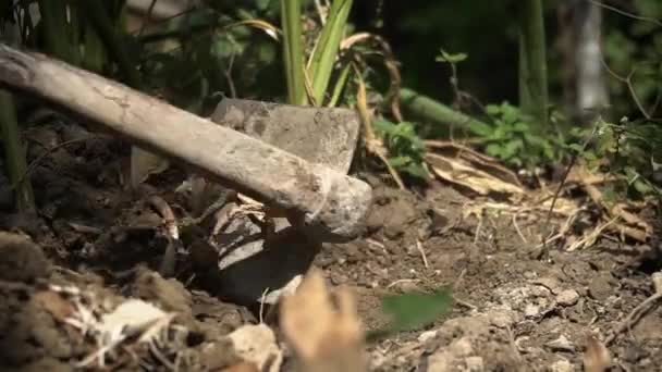 Close Tiro Câmera Lenta Mãos Fazendeiro Usando Uma Enxada Uma — Vídeo de Stock