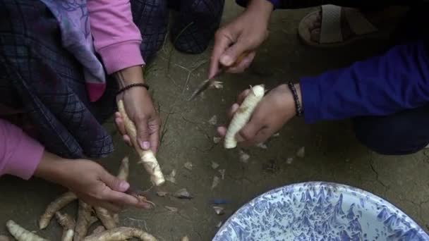 在室外用刀把亚洲女人的手手工剥去块茎 从花园本身剥下块茎 再加工成食物 — 图库视频影像