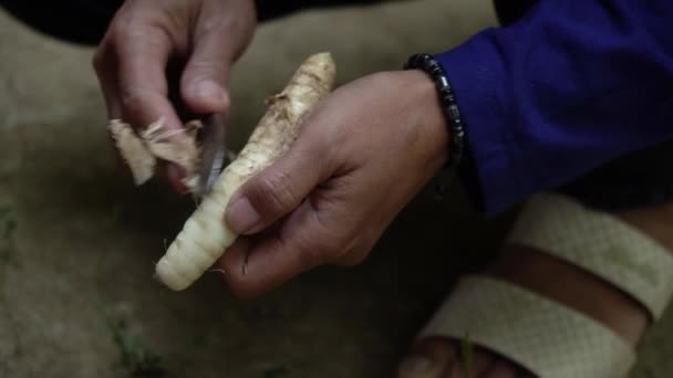 실외에서 덩이줄기를 쓰다듬는 아시아 여성의 모습을 가까이 수있다 가공되어 식품으로 — 비디오