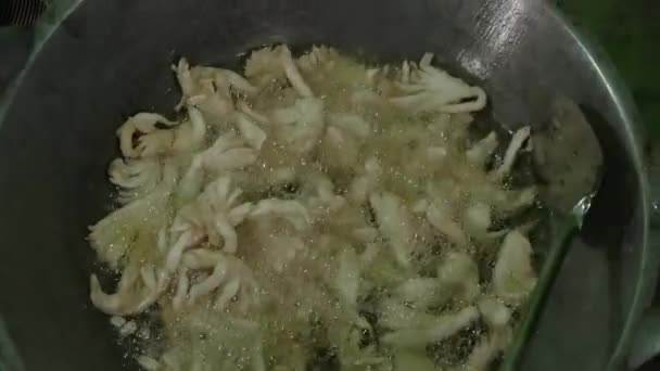 Champignons Croustillants Frits Maison Dans Une Casserole Avec Huile Bouillante — Video