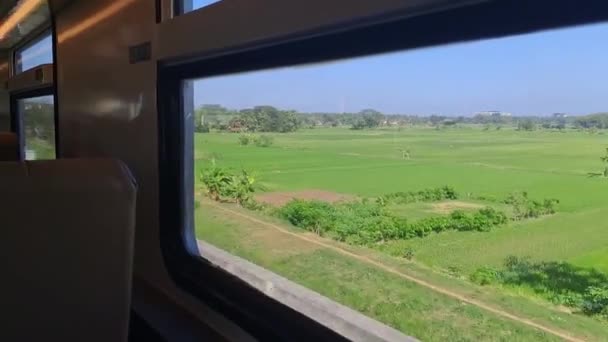 在印度尼西亚爪哇 乘火车向窗外望去 坐在窗边 望着广阔清新的稻田美景 — 图库视频影像