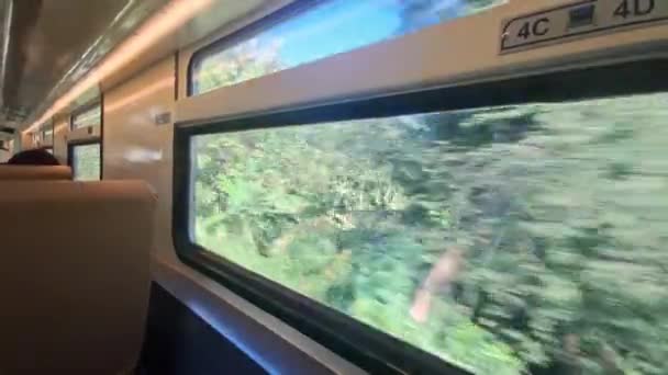 Tittar Genom Fönstret Medan Åker Tåg Java Indonesien Sitter Vid — Stockvideo