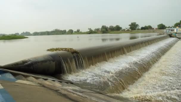 Uma Barragem Borracha Que Divide Rio Brantas Jombang Regency Uma — Vídeo de Stock