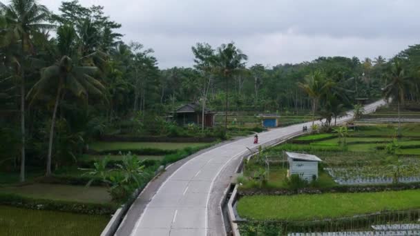 Flygbilder Motorcykel Som Färdas Kurvig Öde Betongväg Ett Landsbygdsområde Indonesien — Stockvideo