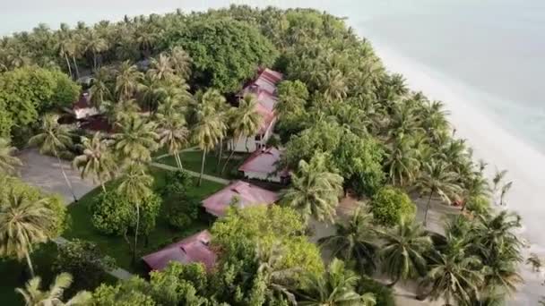 방갈로 빌라와 무성한 아름다운 몰디브는 이국적인 관광지 분위기의 낙원입니다 — 비디오