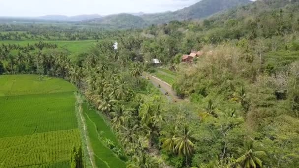 Luftaufnahmen Die Eine Panoramische Ansicht Eines Reisfeldes Einem Dorf Zeigen — Stockvideo