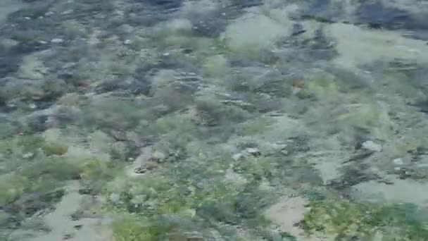 Gelombang Laut Berguling Atas Batu Karang Dan Pantai Pasir Halus — Stok Video