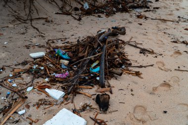 Plastik atık, deniz dalgaları tarafından dağıtıldı ve vuruldu. Deniz kirliliğine, dikkatsizce atılan ve çevreye, ekolojiye ve suya zarar veren tek kullanımlık plastikler neden olur..