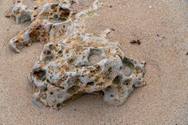 Pacitan, Doğu Cava, Endonezya 'nın güney sahilindeki beyaz bir kumsalın kenarındaki mercan kayalarının ayrıntıları. Mercan kayaları sahilin dört bir yanına dağılmış. Çukur hatları ve düzensiz şekilleri var.
