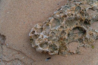 Pacitan, Doğu Cava, Endonezya 'nın güney sahilindeki beyaz bir kumsalın kenarındaki mercan kayalarının ayrıntıları. Mercan kayaları sahilin dört bir yanına dağılmış. Çukur hatları ve düzensiz şekilleri var.