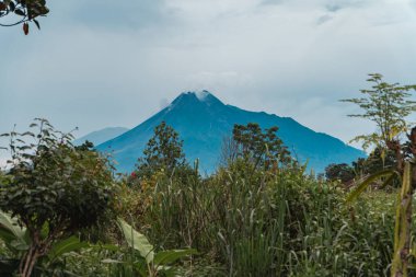 Merapi Dağı 'nın güzelliği ön planda ağaçlarla 13 mil uzaktan geliyor. Merapi Dağı 'nın panoramik güzelliği çok açık bir günde çok net bir şekilde görülebilir.