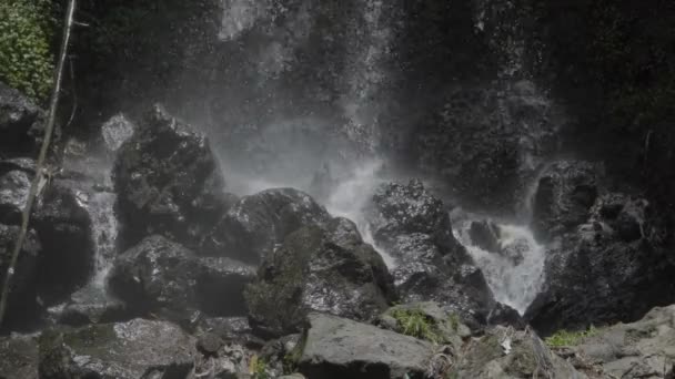 Orörda Och Vackra Grenjenganska Tvillingvattenfallen Ligger Merbabu Nationalparks Vildmark Kvalitetsfilm — Stockvideo