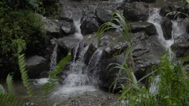 Les Cascades Jumelles Préservées Magnifiques Grenjengan Sont Situées Dans Nature — Video