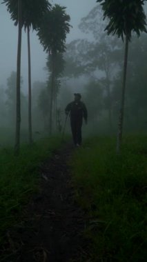 Genç Asyalı adam ormanın ortasında tek başına yürüyor yemyeşil ağaçları, yeşil otları, yüksek tepeleri ve akan nehirleri geçiyor. Solo Hiker çantasıyla vahşi bölgelerde çeşitli arazilerde yürür.
