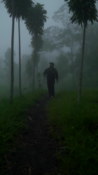 Jonge Aziatische Man Wandelen Het Midden Van Het Bos Alleen — Stockvideo