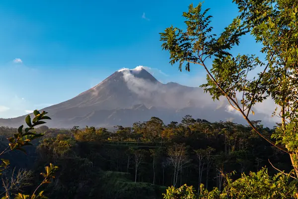 Akşamları Merapi Dağı 'nın çok açık manzarası. Önünde çimenler ve devrilmiş ağaçlar var. Yogyakarta, Endonezya 'daki Merapi Dağı akşamları gerçekten büyüleyici.