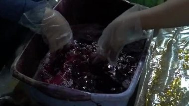 Katılımcıların geleneksel batik kumaşı boyamayı öğrenirken havuza boya bandırıp kaynar suya batırdıkları yavaş çekim görüntüleri. Yeni başlayanlar batik kumaşı geleneksel şekilde boyamayı öğrenirler.