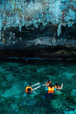 Uçsuz bucaksız denizin güzelliği ve bir Google ve can yeleği kullanarak şnorkelle yüzerek sudaki biyotayı görmek. Phi-phi Adası 'nda şnorkelle yüzmek, Mueang Krabi, Tayland büyüleyici kayalık manzaralı