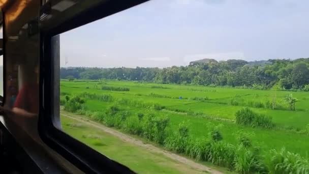 Retour Patrie Train Java Indonésie Assis Près Fenêtre Regardant Belle — Video