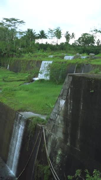 Sabo Barajı Temiz Bir Nehir Akıntısı Yeşil Otlaklarla Çevrili Nehrin — Stok video