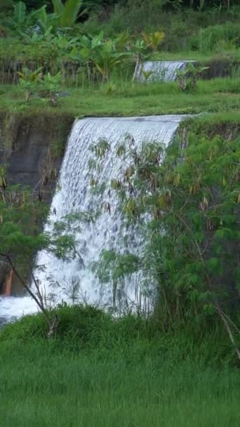Sabo Dam Met Een Heldere Rivierstroom Omgeven Door Groene Graslanden — Stockvideo