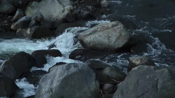 Río Corre Través Las Rocas Crea Rápidos Río Arriba Con — Vídeos de Stock