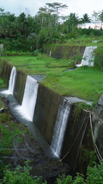 Sabo Barajı Temiz Bir Nehir Akıntısı Yeşil Otlaklarla Çevrili Nehrin — Stok video
