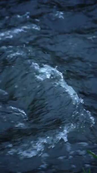 Río Corre Través Las Rocas Crea Rápidos Río Arriba Con — Vídeos de Stock