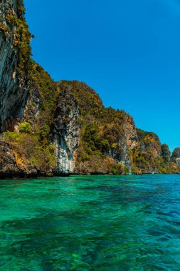 Yeşil ağaçlarla kaplı büyük kaya kayalıkları doğrudan Andaman Denizi 'ne bakıyor. Kayalık ve okyanus manzarası Tayland 'ın Phi-phi Adası' ndaki tropikal turizmin bir simgesidir.