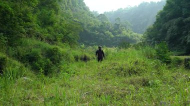 Solo Hiker, sırt çantası ve yürüyüş direkleri taşırken çeşitli arazilerle vahşi doğada yürür. Bir adam ormanın ortasında tek başına yürüyor yemyeşil ağaçlar ve kalın yeşil çimenler arasında.