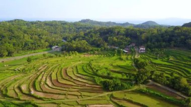 4K hava görüntüleri, arka planda tepeler olan bir köydeki pirinç tarlalarının manzarasını gösteriyor. Öğleden sonra düzgünce düzenlenmiş pirinç teraslarından oluşan güzel bir manzara.