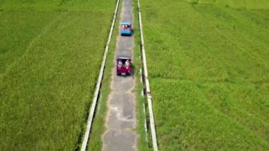 Ortasında küçük bir yol olan çok büyük yeşil pirinç tarlasının hava görüntüleri. Pirinç tarlasının insansız hava aracı görüntüleri güzel bir köyde bir cip konvoyunun yanından geçti.