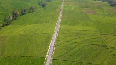 Temiz düzenlenmiş ve yeşil pirinç tarlalarının çok geniş bir alana sahip havadan çekilmiş görüntüleri. Kırsal bölgedeki teraslı pirinç tarlalarının hava manzarası. Çevresi hala çok güzel ve doğal.