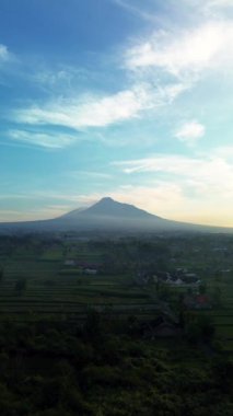 Güneş doğduktan kısa bir süre sonra, ön planda pirinç tarlaları ve yerleşim alanları olan bir dağın panoramik portresi. Endonezya, Yogyakarta 'daki Merapi Dağı' nın 4k hava görüntüsü. 