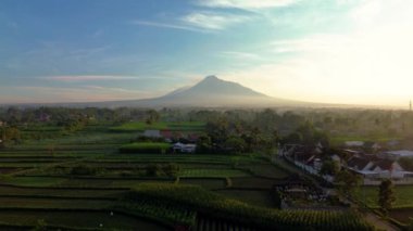 Endonezya, Yogyakarta 'daki Merapi Dağı' nın 4k hava görüntüsü. Güneşin doğuşundan kısa bir süre sonra sabah manzarası... pirinç tarlaları ve yerleşim alanları ön planda.
