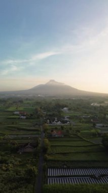 Dağ 'ın sabah güzel manzaralı 4K hava görüntüsü. Güneş doğduktan hemen sonra volkanın havadan manzarası. Önünde pirinç tarlaları ve yerleşim alanları var.