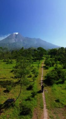 Merapi Dağı 'nın panoramik portresi yazın güzel manzaralı yakın mesafeden çekilmiş. Aktif volkan manzarası. Önünde orman ve vadi var.
