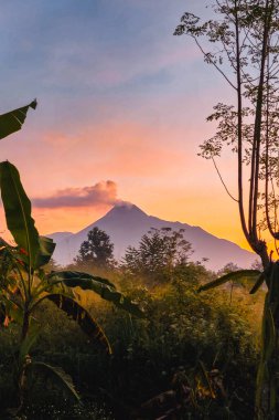 Güneş doğarken Merapi Dağı 'nın kırmızı altından gökyüzü olan panoraması. Güneşin doğuşuyla birlikte uzaktaki bir dağ manzarasında pirinç tarlaları ve ağaçlar ön planda.