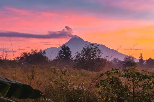 stock image Panorama of Mount Merapi with a reddish gold sky at sunrise. mountain landscape from a distance at sunrise with rice fields and trees in the foreground